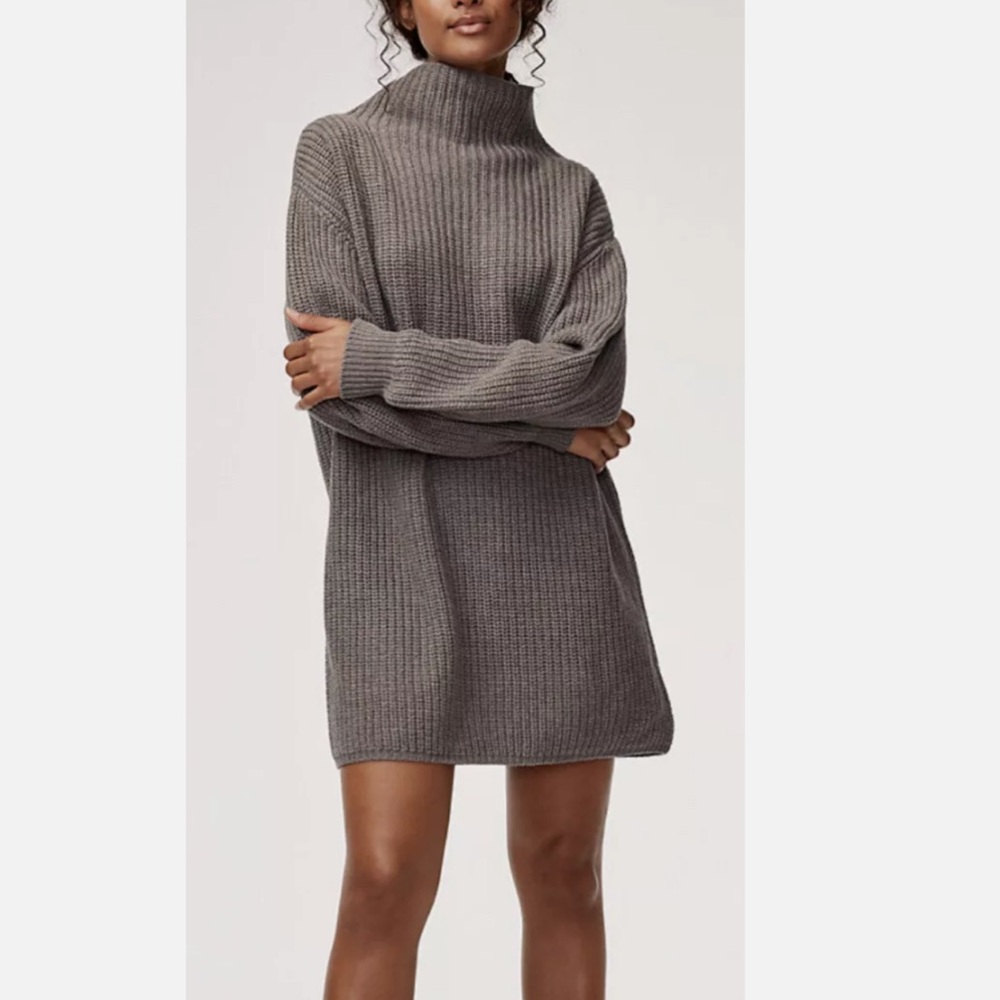 Aritzia Wilfred Sweater Dress